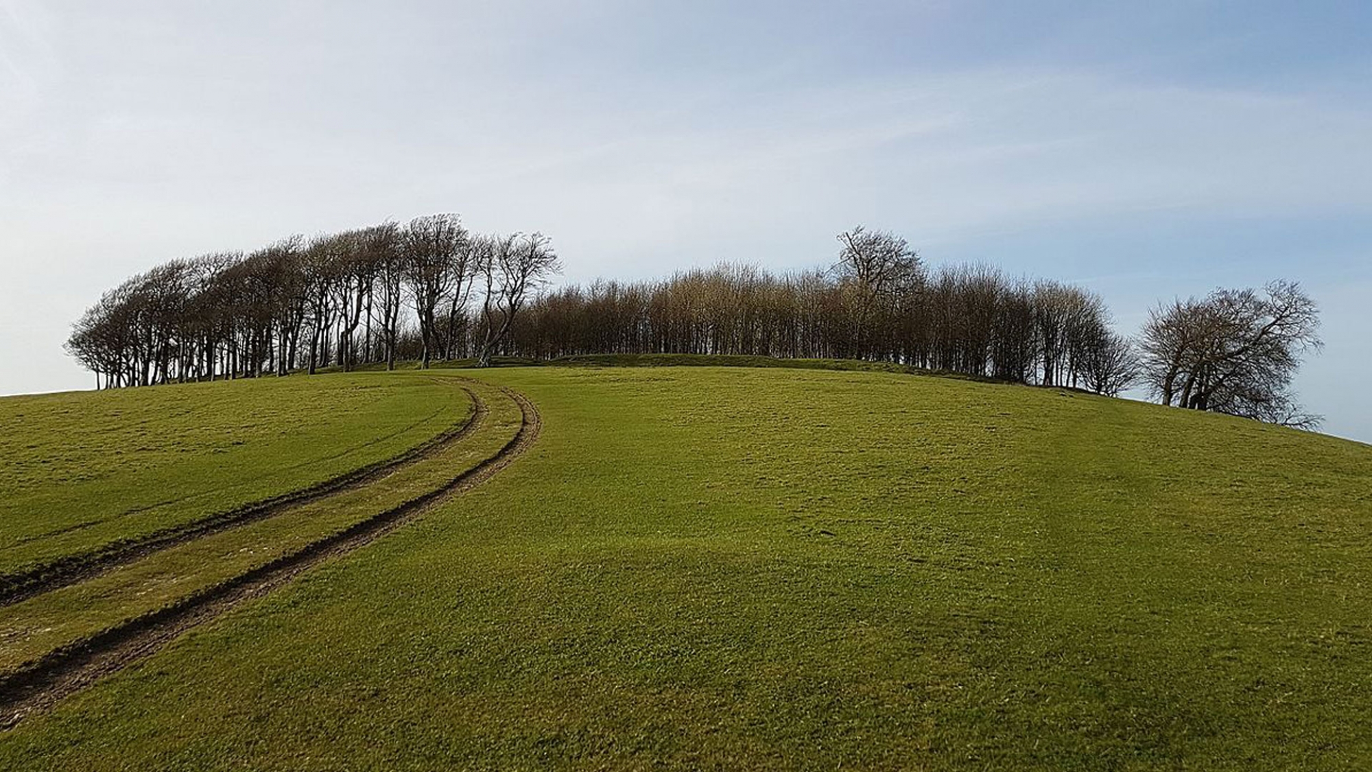 chanctonbury-ring
