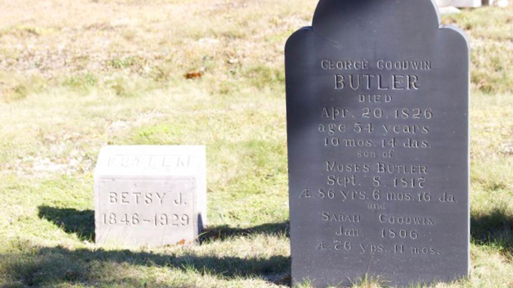 nelly-butler-featured-image