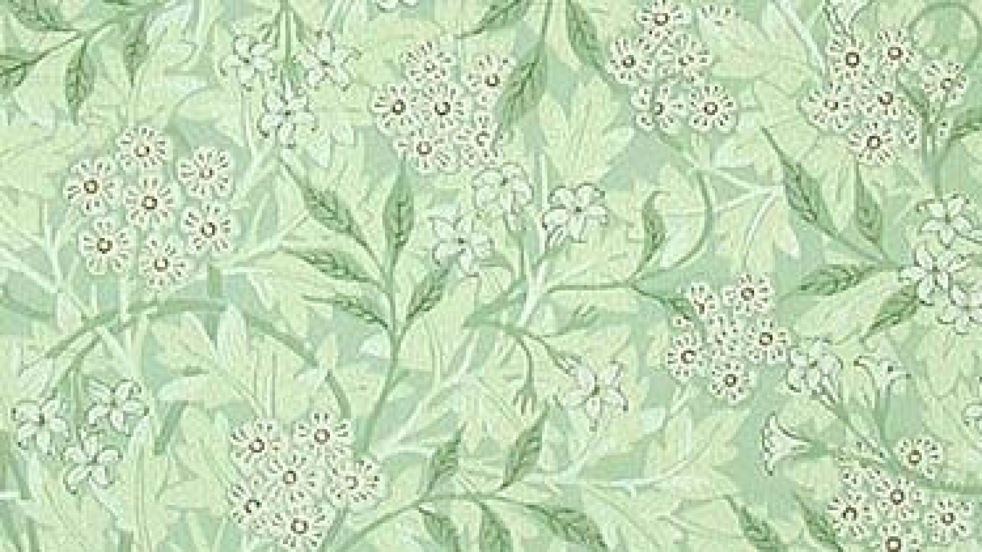 jasmine_green_f