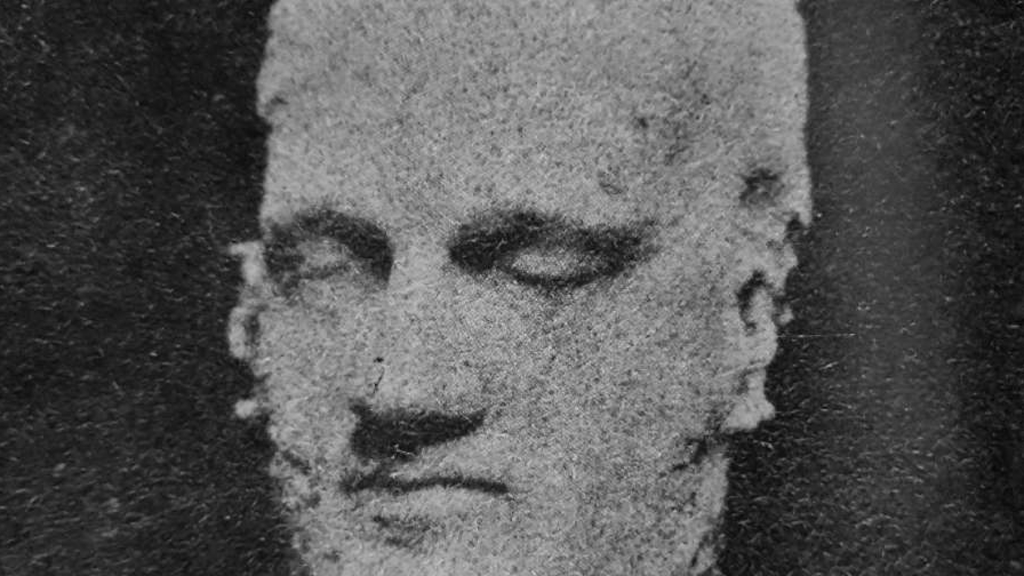 cardiff giant head