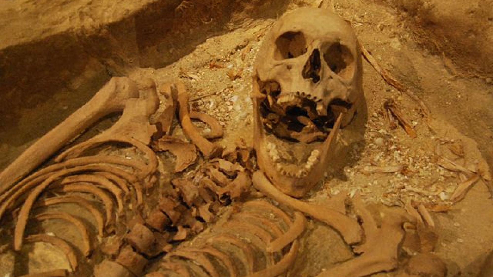 Batavias graveyard