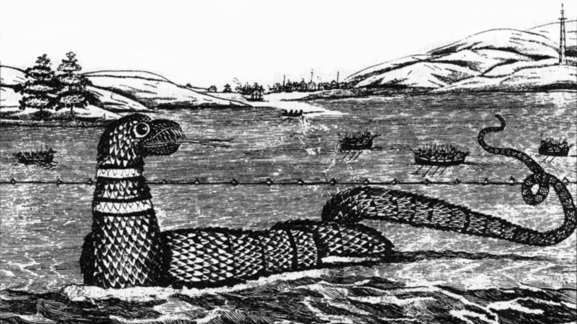 1817_Gloucester_sea_serpent